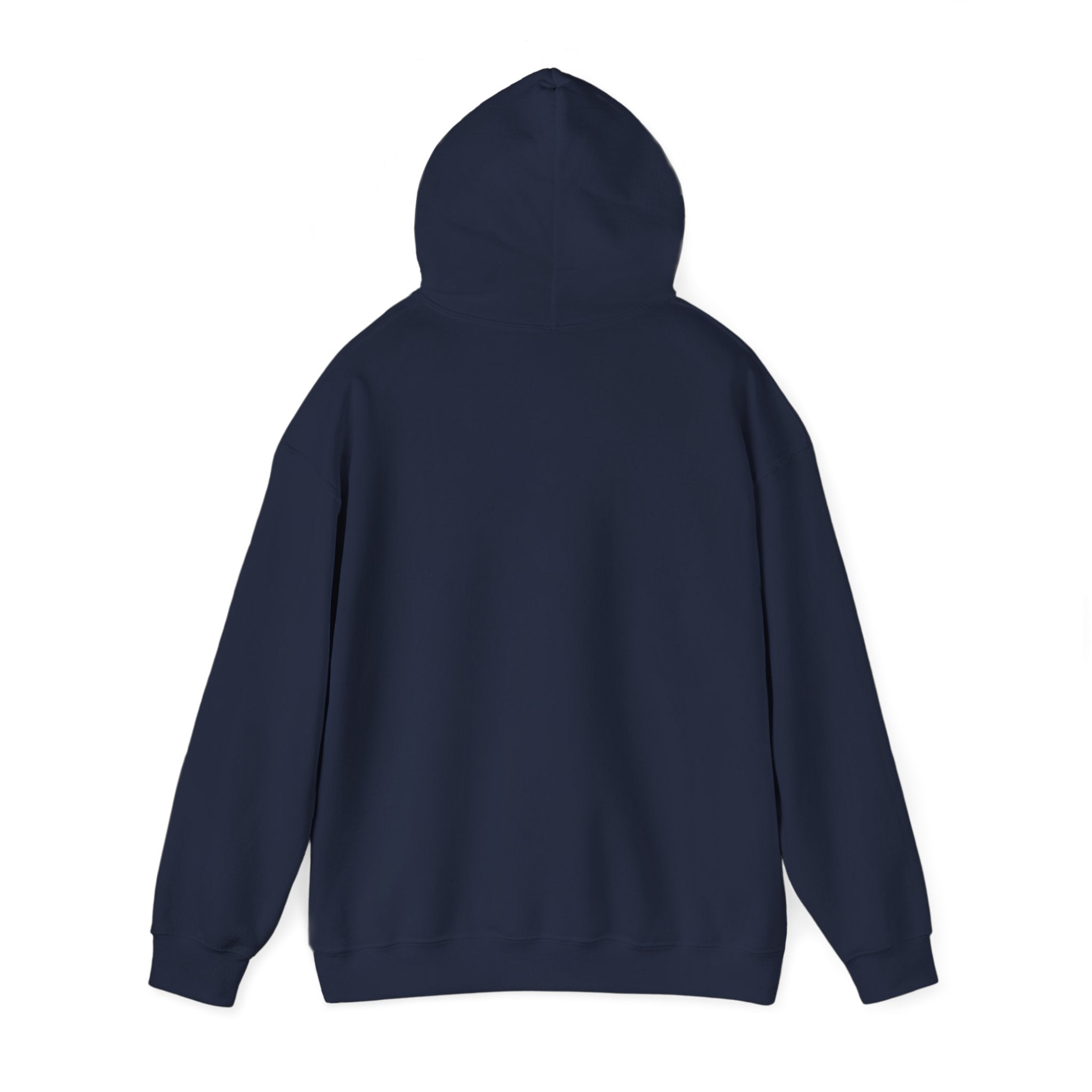 Chase Your Dreams Women's Hoodie