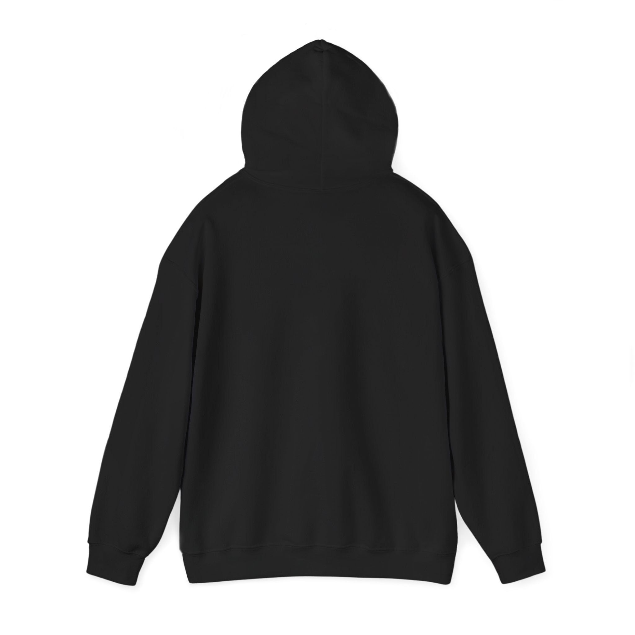 Chase Your Dreams Women's Hoodie