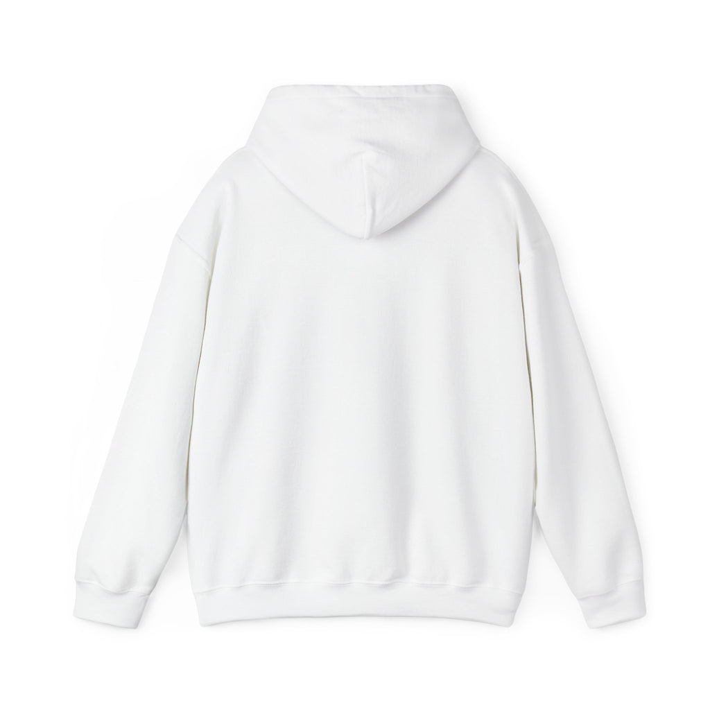 Chase Your Dreams Women's Hoodie