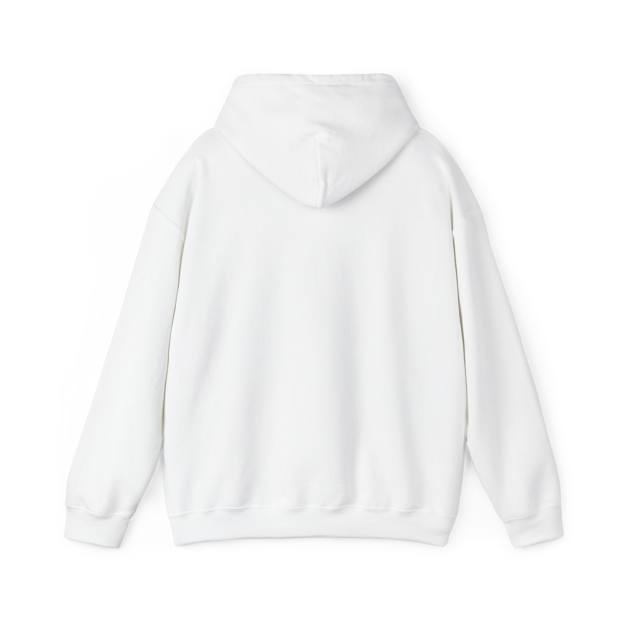 Chase Your Dreams Women's Hoodie