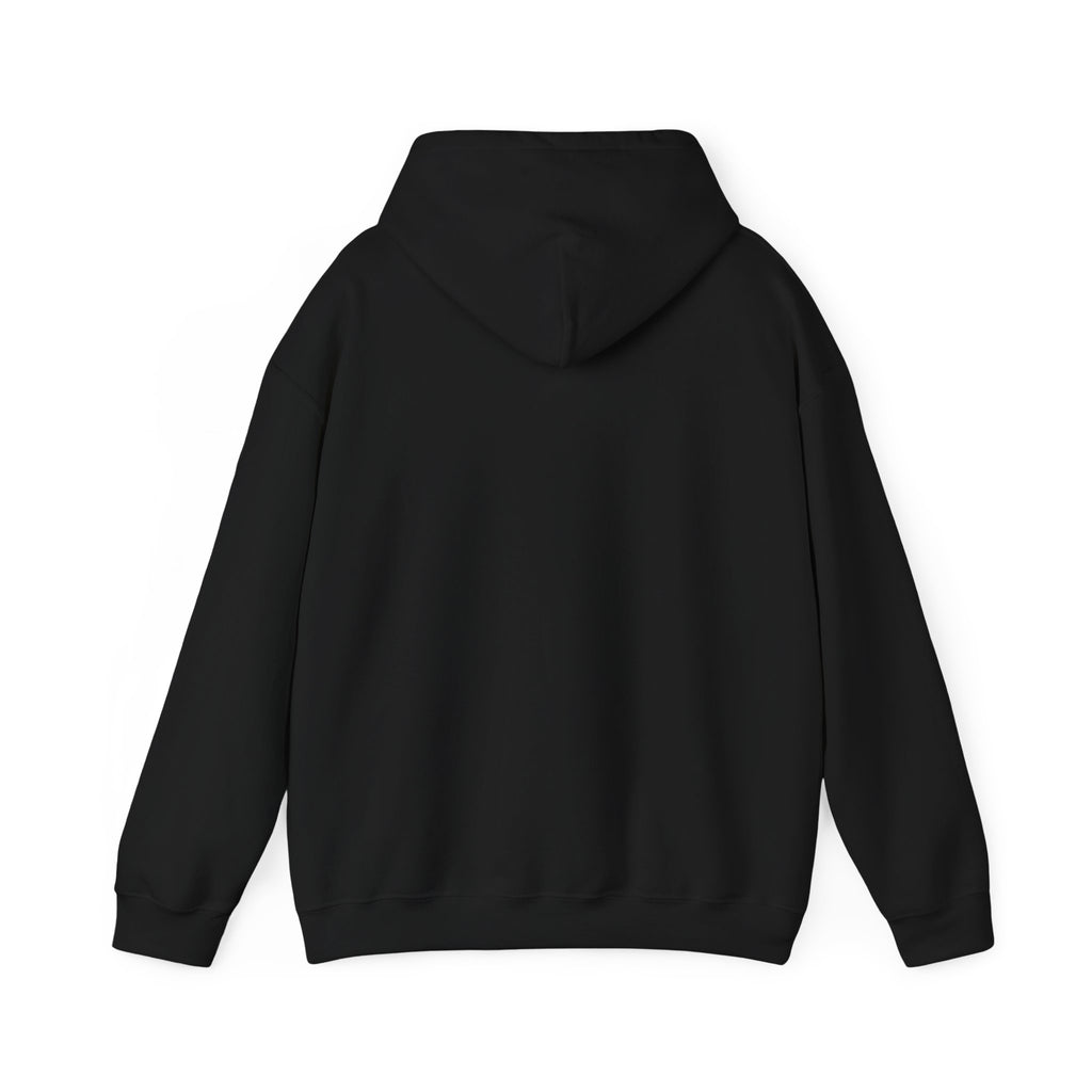 Chase Your Dreams Women's Hoodie