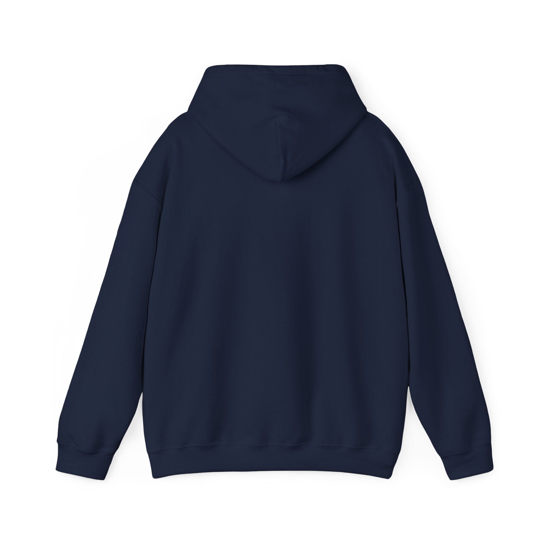 Chase Your Dreams Women's Hoodie